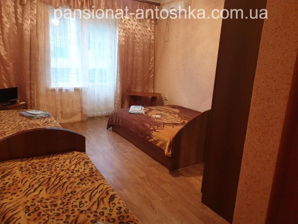 Отель Antoshka Pansionat Железный Порт