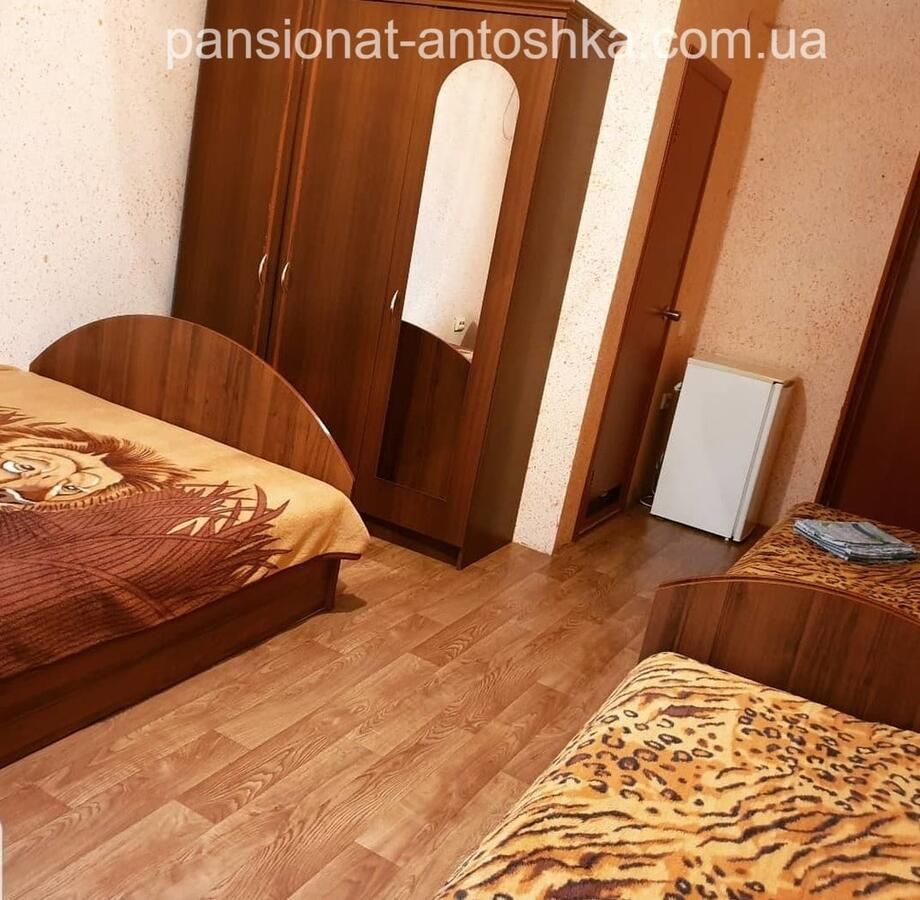 Отель Antoshka Pansionat Железный Порт